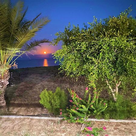 Paradise Karpaz Hotel & Restaurant Rizokarpaso Luaran gambar
