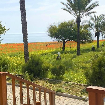 Paradise Karpaz Hotel & Restaurant Rizokarpaso Luaran gambar