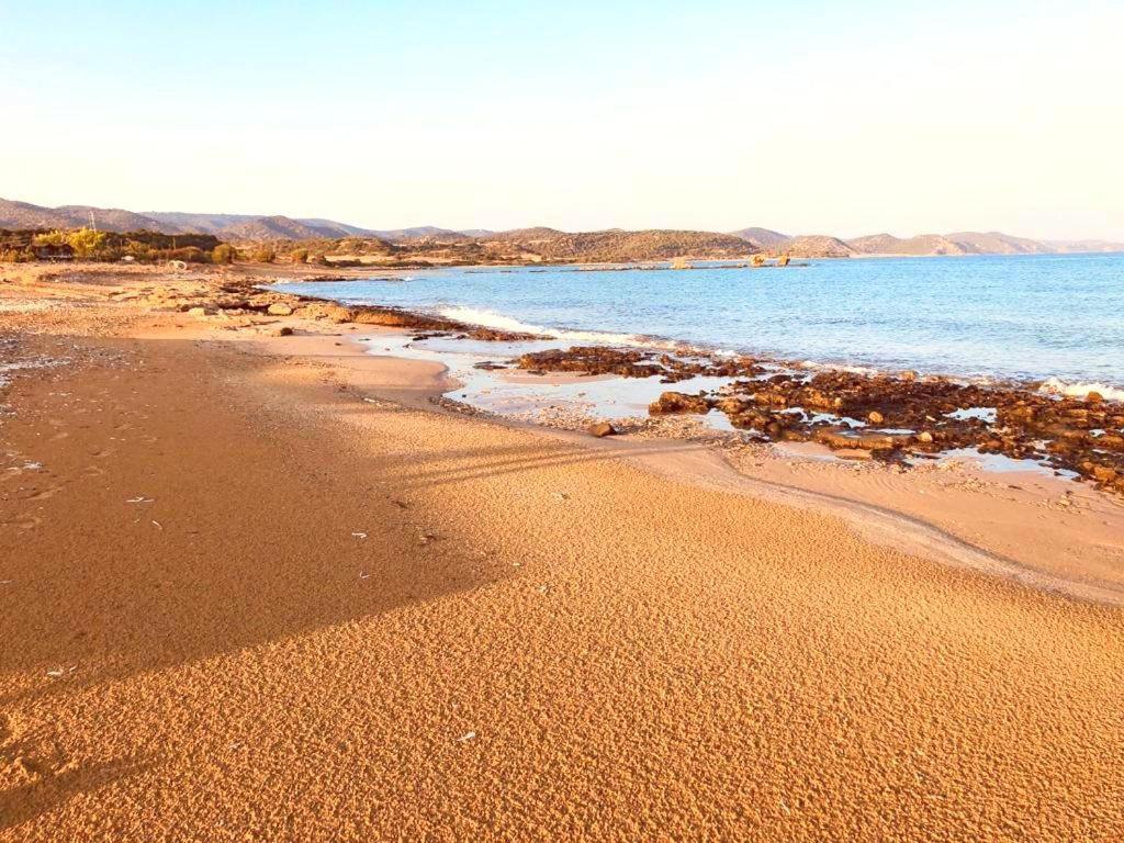 Paradise Karpaz Hotel & Restaurant Rizokarpaso Luaran gambar