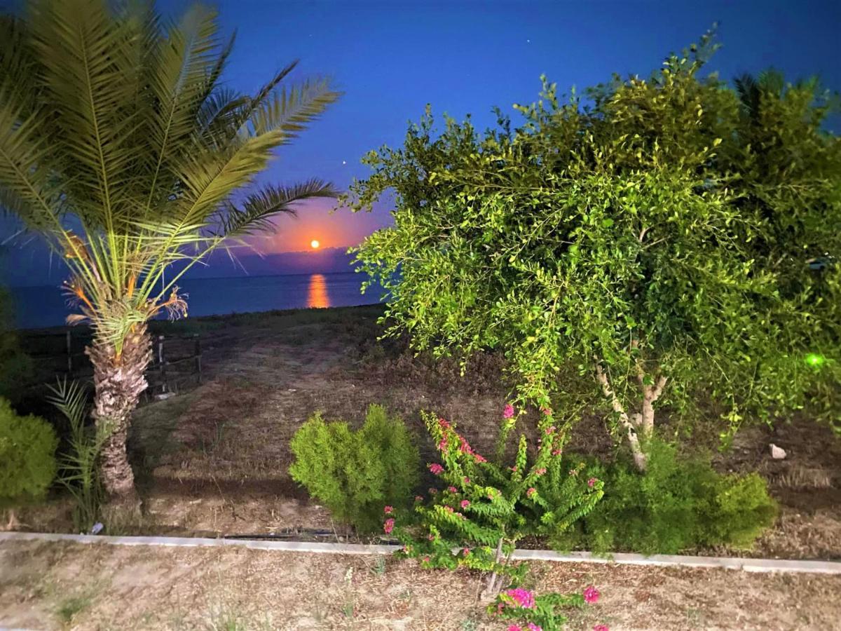 Paradise Karpaz Hotel & Restaurant Rizokarpaso Luaran gambar