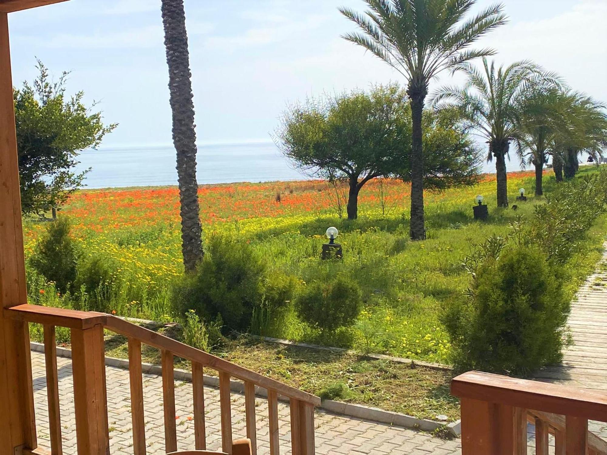 Paradise Karpaz Hotel & Restaurant Rizokarpaso Luaran gambar